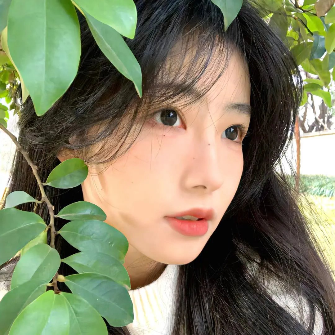 桃花一家亲第一季